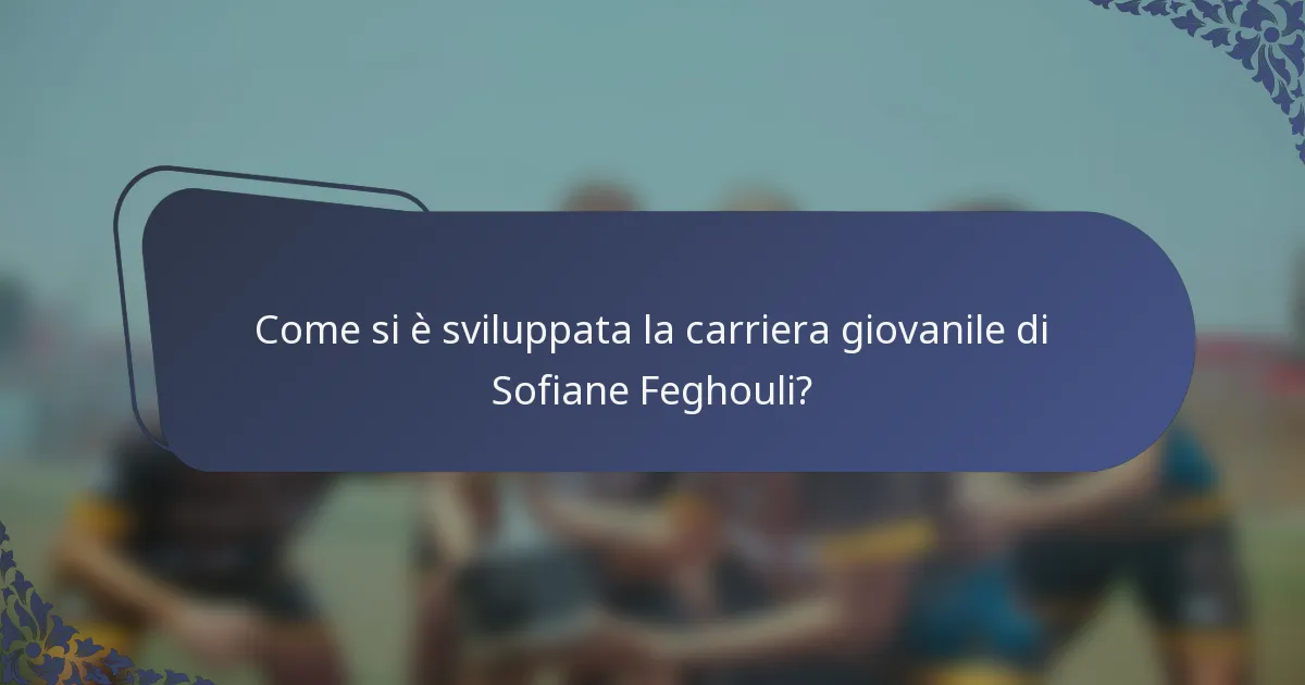Come si è sviluppata la carriera giovanile di Sofiane Feghouli?