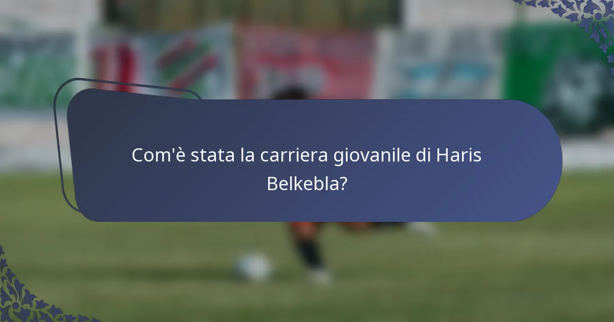 Com'è stata la carriera giovanile di Haris Belkebla?